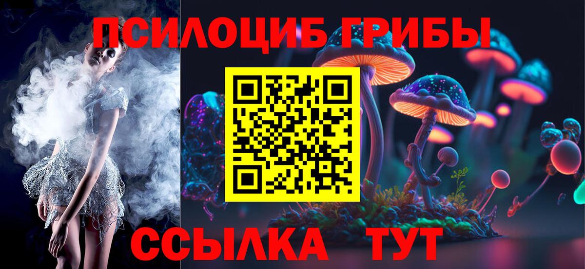 Псилоцибиновые грибы GOLDEN TEACHER Егорьевск