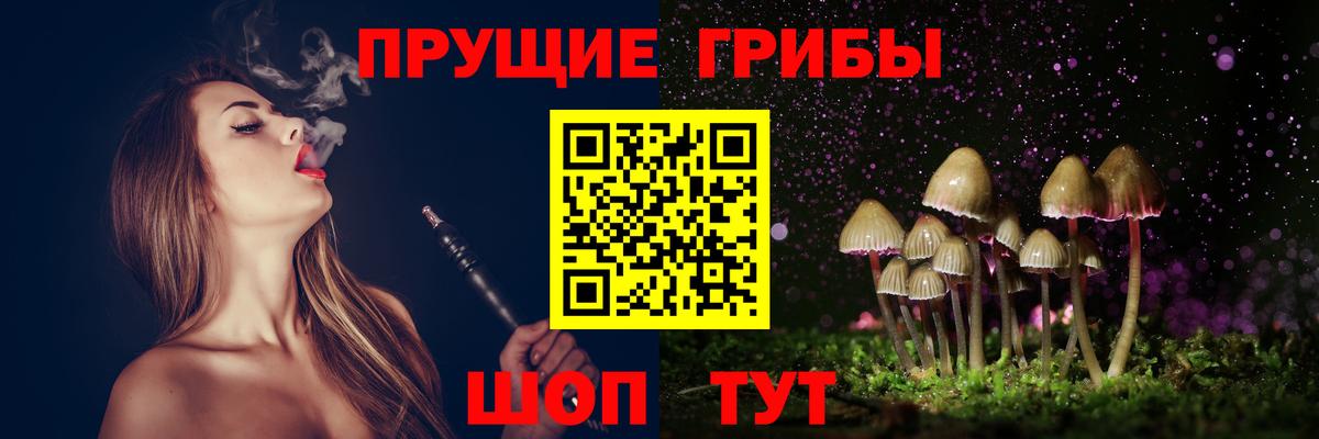 Егорьевск  Псилоцибиновые грибы мицелий  Вход с VPN  Псилоцибиновые грибы Cubensis 